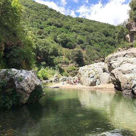 New! La Ginestra,Casa Vacanze Bifamiliare In Montagna-Seulo Sardegna Εξωτερικό φωτογραφία