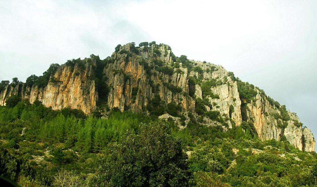 New! La Ginestra,Casa Vacanze Bifamiliare In Montagna-Seulo Sardegna Εξωτερικό φωτογραφία