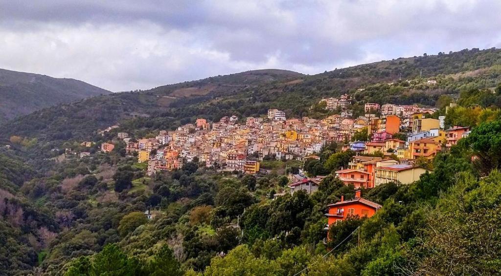 New! La Ginestra,Casa Vacanze Bifamiliare In Montagna-Seulo Sardegna Εξωτερικό φωτογραφία