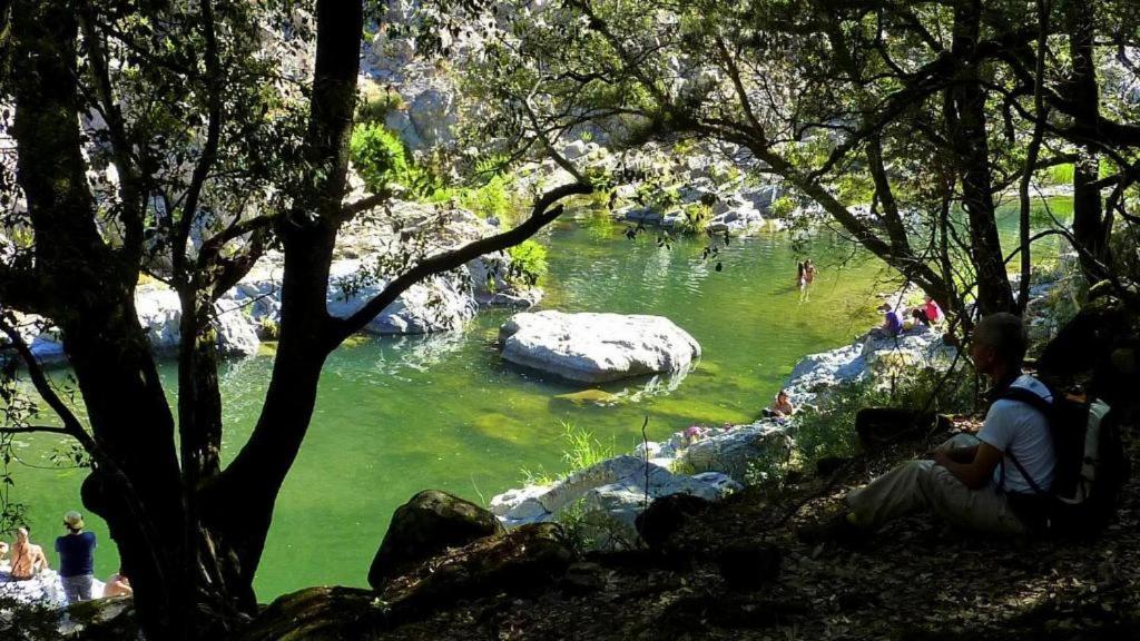 New! La Ginestra,Casa Vacanze Bifamiliare In Montagna-Seulo Sardegna Εξωτερικό φωτογραφία