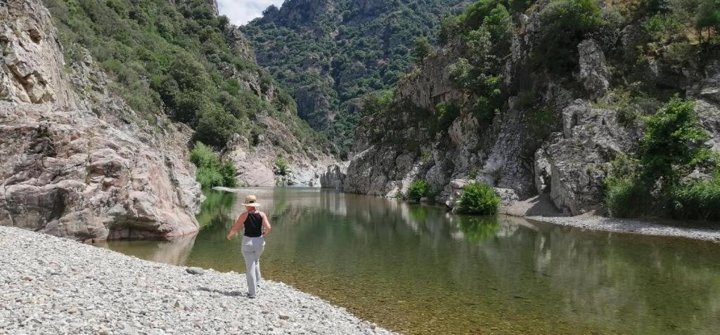 New! La Ginestra,Casa Vacanze Bifamiliare In Montagna-Seulo Sardegna Εξωτερικό φωτογραφία