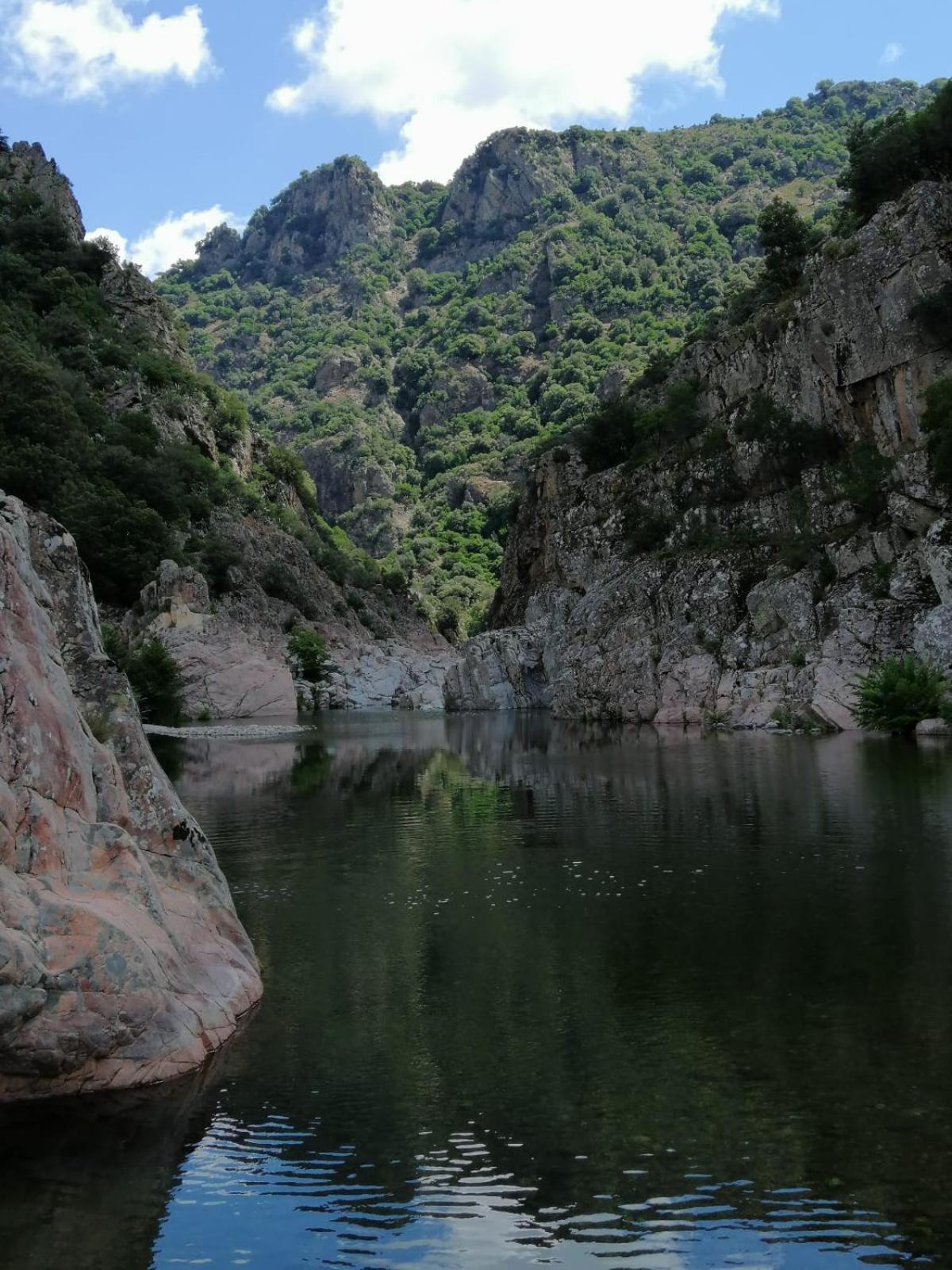 New! La Ginestra,Casa Vacanze Bifamiliare In Montagna-Seulo Sardegna Εξωτερικό φωτογραφία